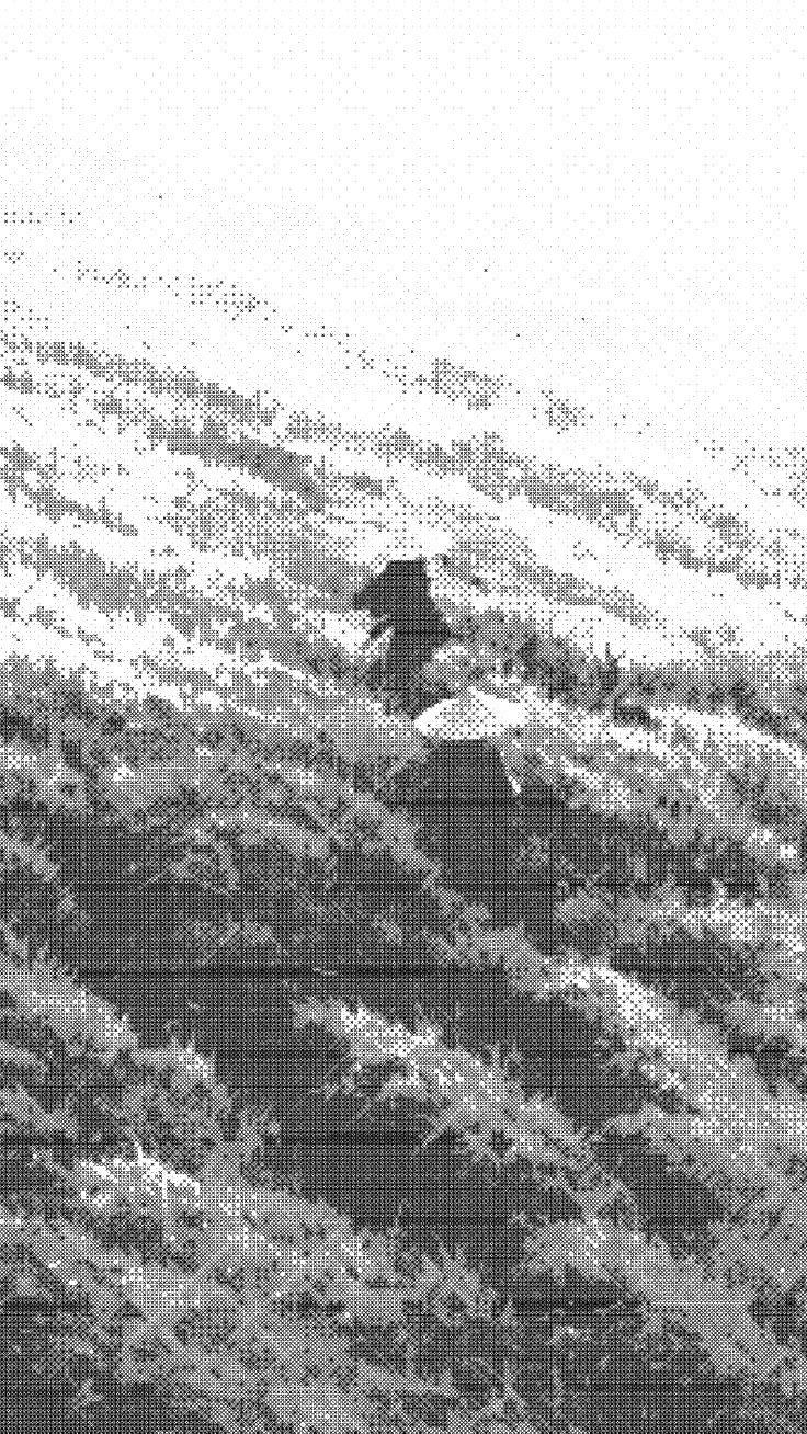 Dotcross applied to the sample photo