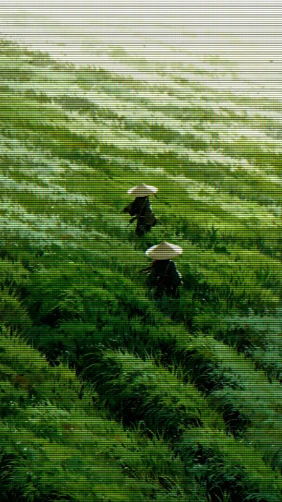 Illustration of two travellers in straw hats crossing a wind-swept grassy hillside, after the CRT Scanlines filter — scanlines, RGB colour fringing and phosphor glow