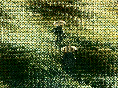 키 큰 풀숲을 걸어가는 두 삿갓 나그네의 클로즈업 크롭, Risograph 필터 적용 후 — 따뜻한 미색 종이 위에 핀이 어긋난 CMYK 리소 망점